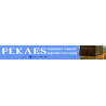 PEKAES WARSZAWA NACZEPA TRANSEUROPA kalkomania 1:24