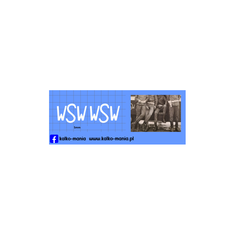 wsw logo duze nysa kalkomania 1:24