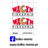 zuk piekarnia wacyn kalkomania 1:43