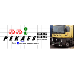 pekaes reanult magnum ae...