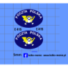 star 28 29 200 poczta kontener kalkomania 1:43
