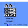 bizon zo50 kalkomania 1:43