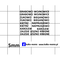 pgr oddzialy kalkomania 1:43