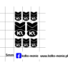 skr logo kalkomania 1:43