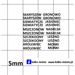 skr oddzialy kalkomania 1:43