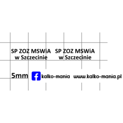 szpital sp zoz mswia...