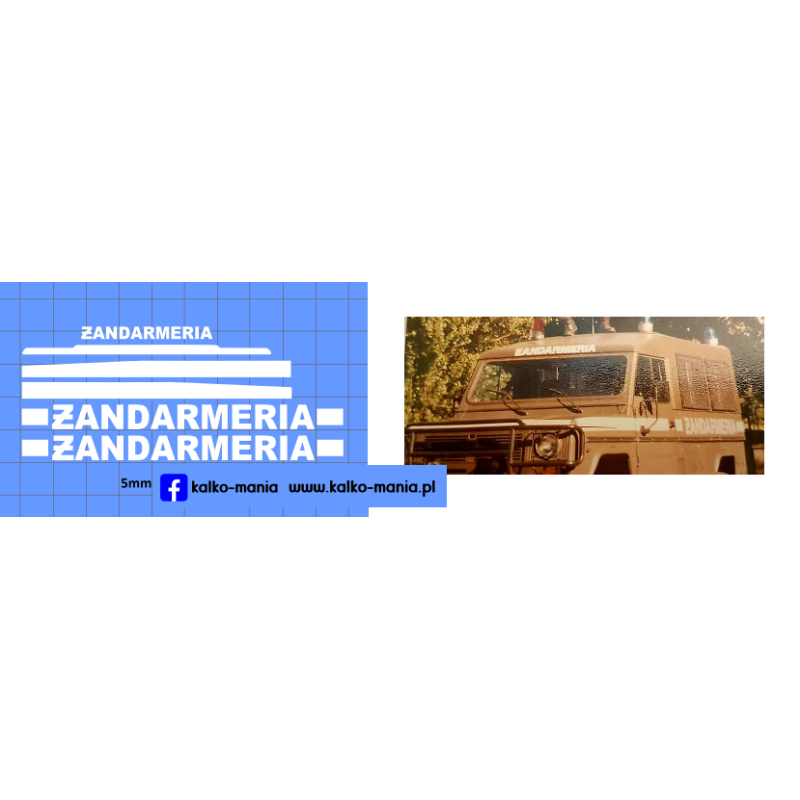 tarpan honker 4012 zandarmeria wojskowa kalkomania 1:43