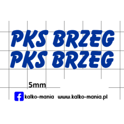 autosan pks brzeg...