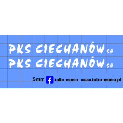 autosan pks ciechanow white...