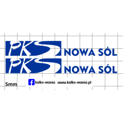 autosan pks nowa sol...