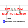 autosan zkm szczytno kalkomania 1:72