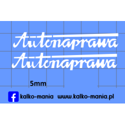 jelcz autonaprawa...