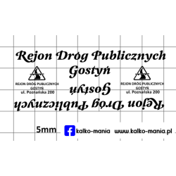 san h100 rdp gostyn...