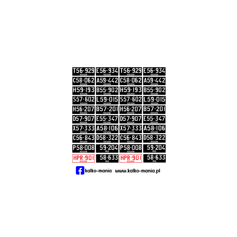 Rzeszowskie 1950-1956 Tablice rejestracyjne 1:43