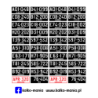 Mix województw 1950-1956 Tablice rejestracyjne 1:24