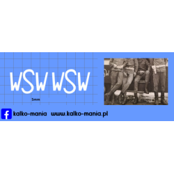 wsw logo duze nysa...