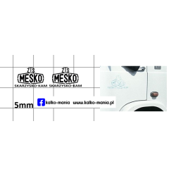 star zts mesko kalkomania 1:43