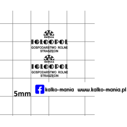 igloopol straszecin...