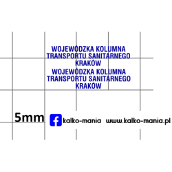 nysa 125p wkts krakow...