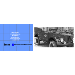 straz pożarna zawodowa w...