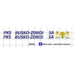 autosan pks busko zdroj...