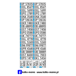 Opolskie 2000 Tablice...