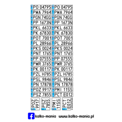 Wielkopolskie 2000 Tablice...