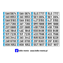 Czechy 2004 Tablice...